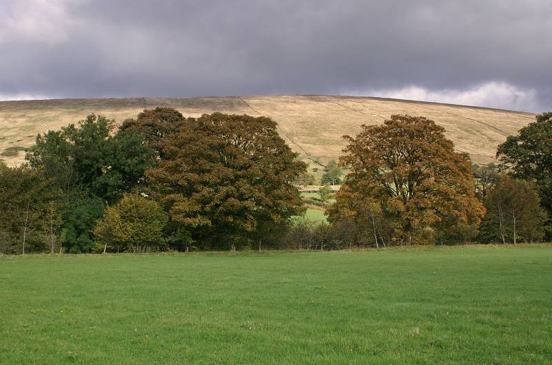 Under Combe Scar. 